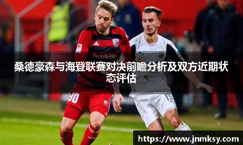 桑德豪森与海登联赛对决前瞻分析及双方近期状态评估
